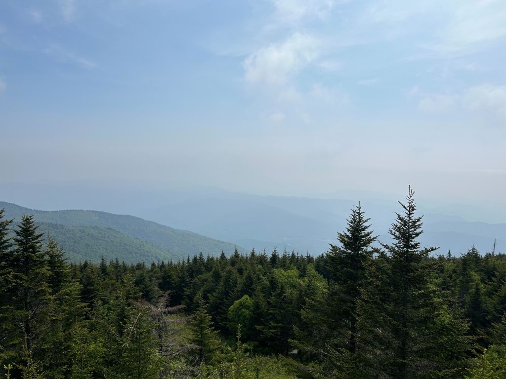 Photo of the Black Mountains taken from the trail on Mount Mitchell, in North Carolina by Bobby Gillespie